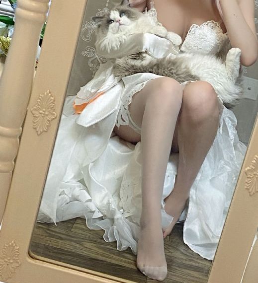 伦理大片在线观看_剧情片手机在线观看