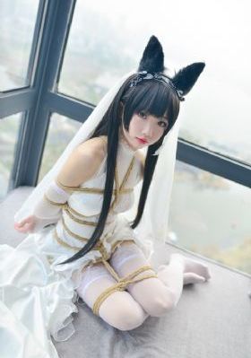 毛片黄片av_HD电视剧在线观看